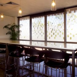 Window Treatments - cut out lettering, frosted treatments, tinting